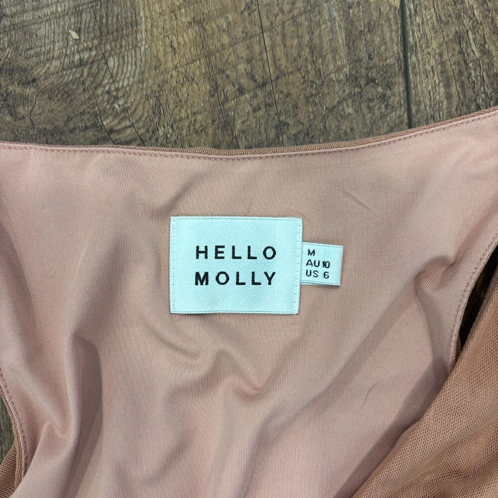 Hello Molly Estate Escapes Maxi Dress Blush Elegant Women's Size 6 US M Sheer - Picture 6 of 11